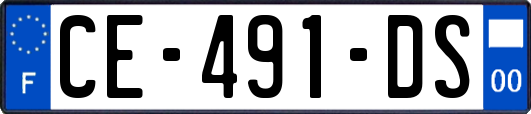 CE-491-DS