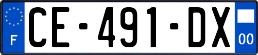CE-491-DX