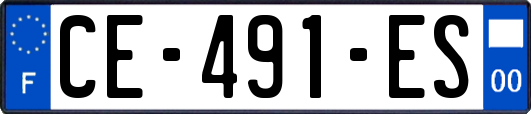 CE-491-ES