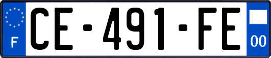 CE-491-FE