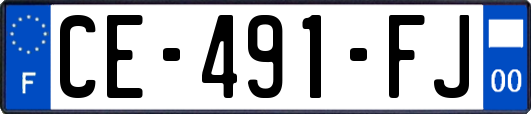 CE-491-FJ