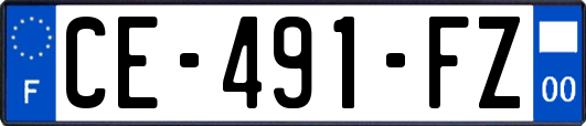 CE-491-FZ