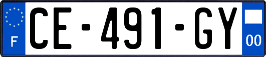 CE-491-GY