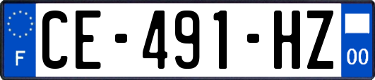 CE-491-HZ