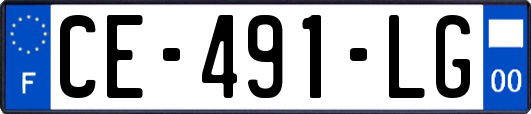 CE-491-LG