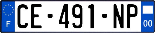 CE-491-NP