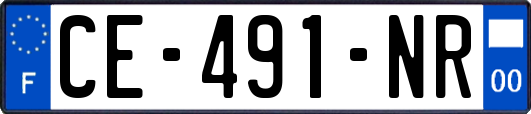 CE-491-NR