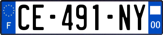 CE-491-NY