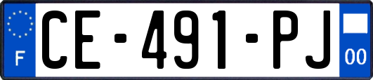 CE-491-PJ