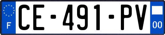 CE-491-PV
