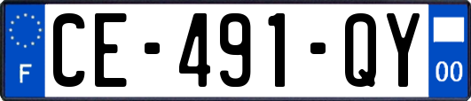 CE-491-QY