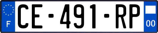 CE-491-RP