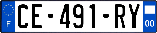 CE-491-RY