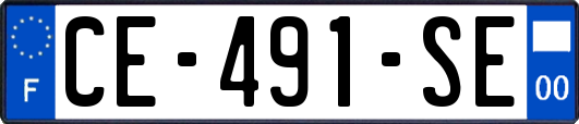 CE-491-SE