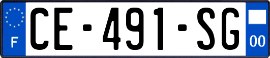 CE-491-SG