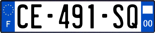 CE-491-SQ