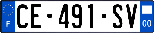CE-491-SV