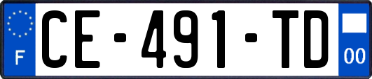 CE-491-TD