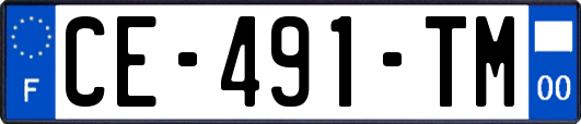 CE-491-TM