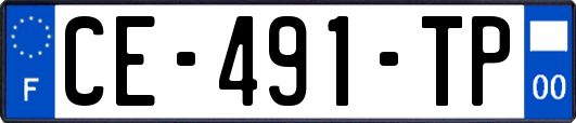 CE-491-TP
