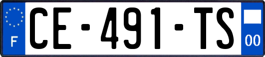 CE-491-TS