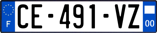 CE-491-VZ