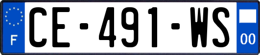 CE-491-WS