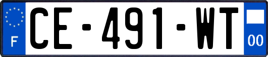 CE-491-WT