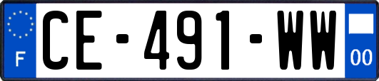 CE-491-WW