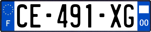 CE-491-XG