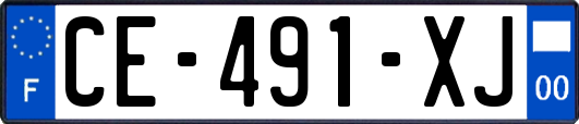 CE-491-XJ