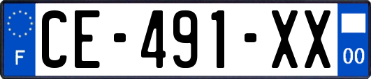 CE-491-XX