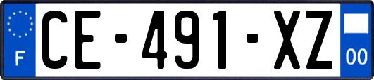 CE-491-XZ