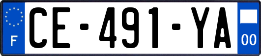 CE-491-YA