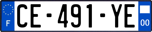 CE-491-YE