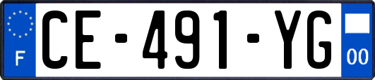 CE-491-YG