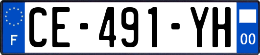CE-491-YH