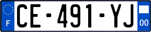 CE-491-YJ