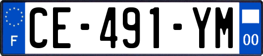 CE-491-YM