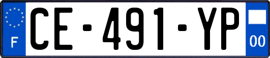 CE-491-YP