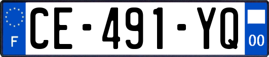 CE-491-YQ