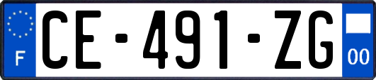 CE-491-ZG