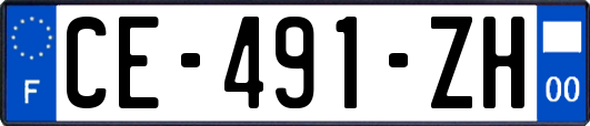 CE-491-ZH