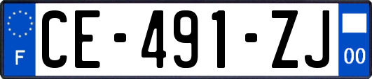 CE-491-ZJ