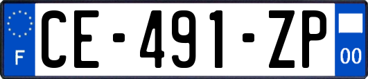 CE-491-ZP