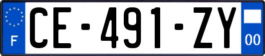 CE-491-ZY