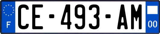 CE-493-AM