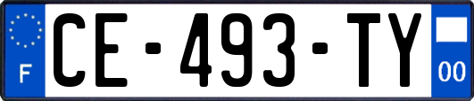 CE-493-TY