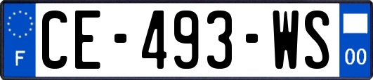 CE-493-WS