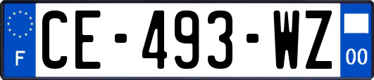 CE-493-WZ